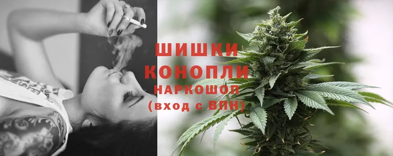 Конопля SATIVA & INDICA  Дмитриев 